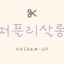 퍼플리살롱