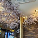 강서무도학원 이미지