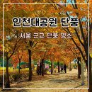 산림공원사업소 휴게매점 | 서울 근교 인천대공원 단풍 명소 자전거대여 주차 지도 은행나무 나들이