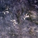 진주 가진리 새발자국과 공룡발자국 화석산지 이미지