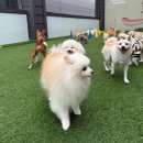 낙원유치원 이미지