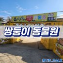 백조농장 | 강릉 가볼만한 곳 쌍둥이 동물농장