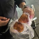 [일본 후쿠오카] 2박 3일 여행 하카타 1일차 후기!