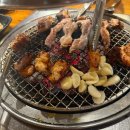 산호물회전문점 다이닝코드