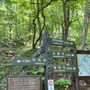 모악산관광단지 네이버블로그