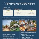 카페션샤인