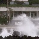 [속보] 태풍 오마이스 제주 상륙…강풍 몰고 제주 동부 지나는 중 이미지