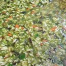 궁한스샤브샤브신제주점 이미지