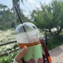 무지개공원 - 달서구 | 울산 선암호수공원 무지개놀이터 후기｜주차장, 돗자리 명당, 모래놀이까지 아이와 가볼만한곳