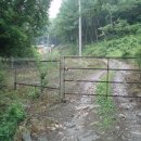 솔흑염소농장 이미지