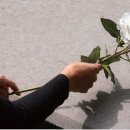 술이랑 이미지