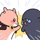 한국타이어밀양점 네이버블로그