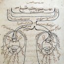 현대광학 이미지