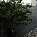 엔(N)모텔 이미지