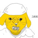 투게더마켓
