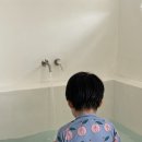 바불 제주 풀빌라 | 제주 가족 독채 풀빌라, 서귀포 감성 숙소 바불