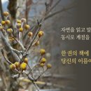 24절기 생태교육 이미지