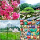 호수공원 제2주차장 | 일산호수공원 한 바퀴