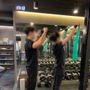 페르소나 피티 이미지