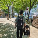 [내돈내산] 나의 비밀친구 해치 관람후기 (서비스최고)