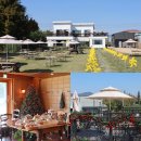 넓은마당어린이집 | 부산 강서구 카페 헐스 넓은 잔디마당이 있는 애견 동반 카페