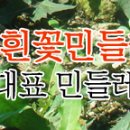 영농조합법인토종식품