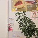 와플대학광주호남대캠퍼스 네이버블로그