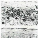 대웅프라자약국 이미지