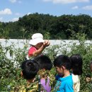 서농초등학교 이미지