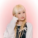 초원 이미지