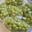 윤채농장 이미지