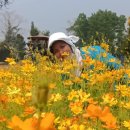 태국골프 그린월드 소식지 이미지