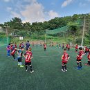 [대구/동구] 박정식 THE축구 U-12 선수 모집 이미지