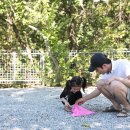 홈플러스스페셜 앞 이미지