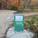 다래 | 📍 순창 강천산 카페 다래 방문 후기