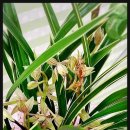 뜰아래플라워 이미지