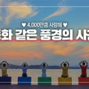 서동생활공원 옆 대한민국 구석구석