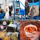 인천배낚시 광복낚시 추천 왕초보 남항 우럭 체험 후기