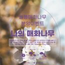 매화나랑