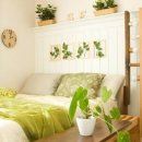 기능사의 집 이미지