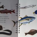 그물과물고기 이미지