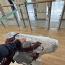 호스텔 루비 | [알래스카] 여행 1일차: 인천 - 시애틀 - 페어뱅크스 이동하기