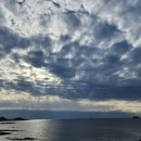 신창건어물 이미지