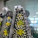 삼성장례문화원 이미지