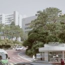 [연축성 발성장애] 한양대병원 음성검사 및 보톡스 진료 후기 (ft. 나는 강하다)