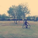 쌀통닭 화명1호점 이미지