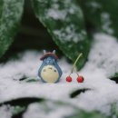 건강다방