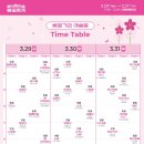 2024 경주 대릉원돌담길 벚꽃축제 이미지