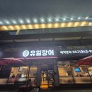 광산구-100 | 광주 광산구 유일장어 솔직 후기｜맛, 가격, 분위기 총정리