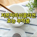 피쉬피쉬 이미지